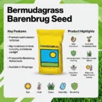 بذر چمن برموداگراس بارنبروگ