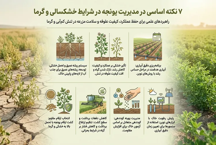 مدیریت یونجه در شرایط خشکسالی و گرما