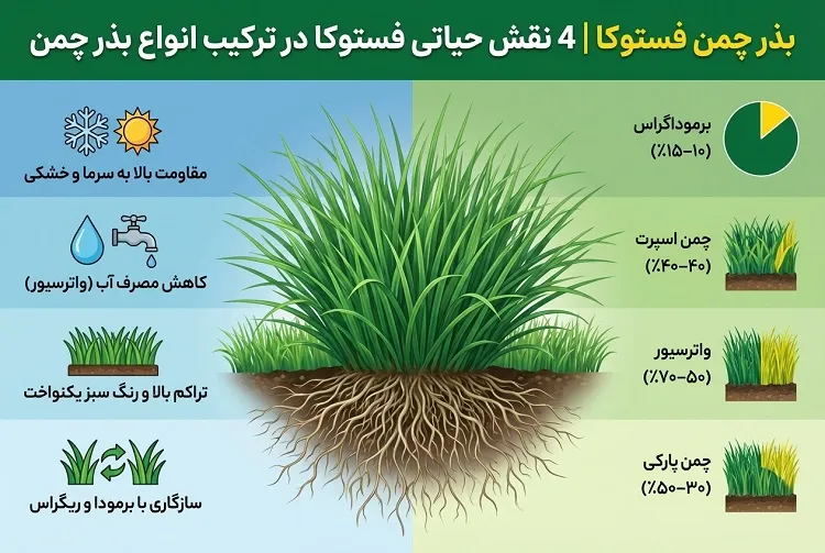 بذر چمن فستوکا | 4 نقش حیاتی فستوکا در ترکیب انواع بذر چمن