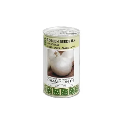 بذر پیاز چمپیون |شاپ ثمر