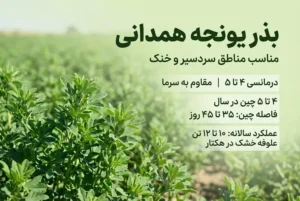 بذر یونجه همدانی