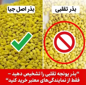 تفاوت دانه بندی بذر یونجه جیا تقلبی و واقعی