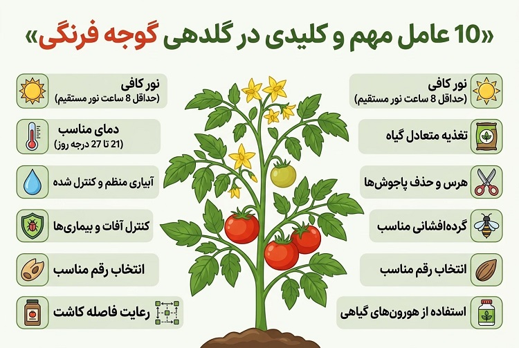 10 عامل مهم و کلیدی در گلدهی گوجه فرنگی
