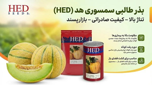 بذر طالبی سمسوری هد