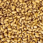 بذر قره یونجه