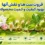 فروت‌ست‌ ها و نقش آنها در بهبود کیفیت و کمیت محصولات