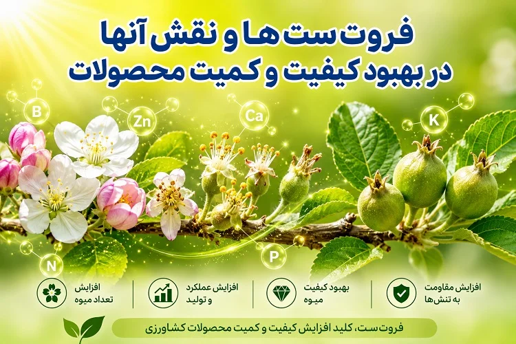 فروت‌ست‌ ها و نقش آنها در بهبود کیفیت و کمیت محصولات