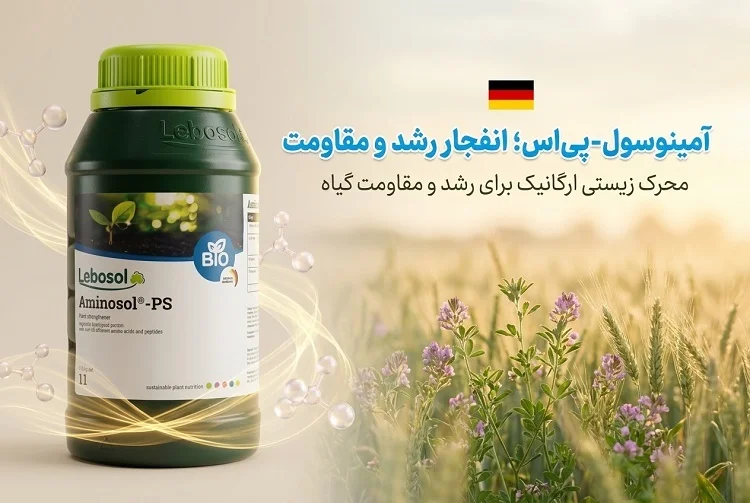 آمینوسول-پی‌اس